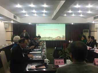 偷情做爱